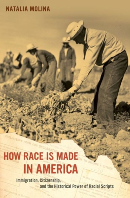 How Race Is Made in America : Immigration, Citizenship, and the Historical Power of Racial Scripts, Hardback Book