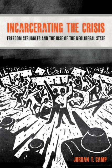 Incarcerating the Crisis : Freedom Struggles and the Rise of the Neoliberal State, Paperback / softback Book