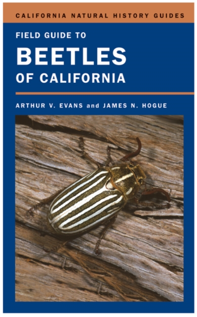 Field Guide to Beetles of California, PDF eBook
