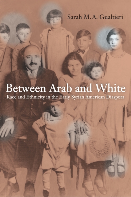 Between Arab and White : Race and Ethnicity in the Early Syrian American Diaspora, PDF eBook