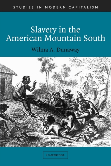 Slavery in the American Mountain South, Paperback / softback Book