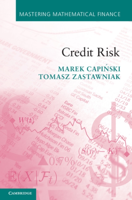 Credit Risk, Paperback / softback Book