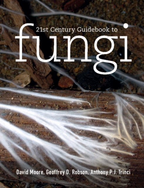 21st Century Guidebook to Fungi with CD-ROM, Mixed media product Book
