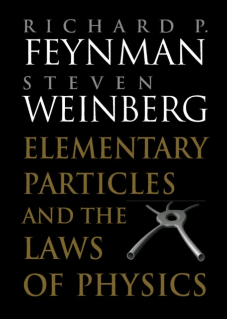 Elementary Particles and the Laws of Physics : The 1986 Dirac Memorial Lectures, Paperback / softback Book