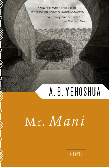 Mr. Mani : A Novel, EPUB eBook
