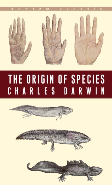 The Origin of Species : By Means of Natural Selection or the Preservation of Favoured Races in the Struggle for Life, Paperback / softback Book