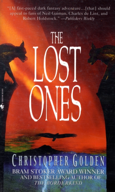 The Lost Ones : Book 3 of the Veil, Paperback Book