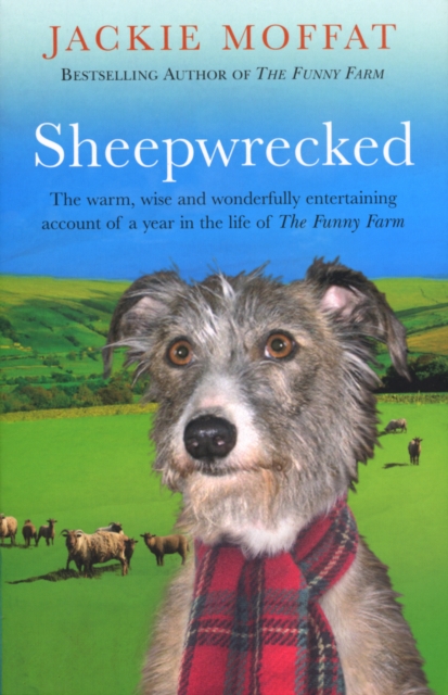 Sheepwrecked, Paperback / softback Book