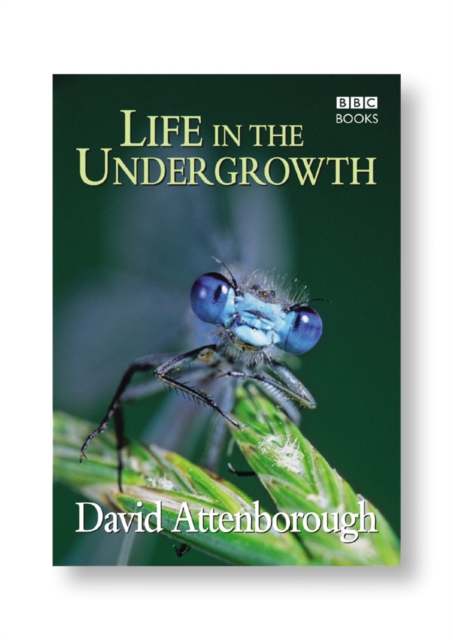 Life in the Undergrowth, Hardback Book