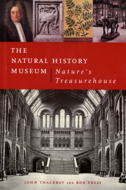 The Natural History Museum : Nature's Treasurehouse, Paperback / softback Book