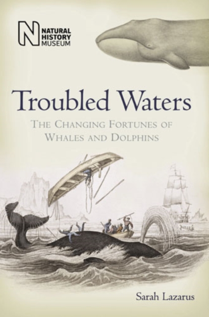 Troubled Waters : The Changing Fortunes of Whales and Dolphins, Hardback Book
