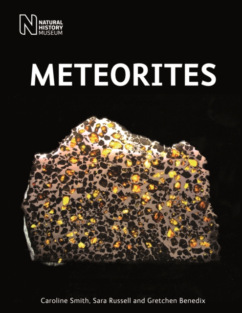 Meteorites, Paperback / softback Book