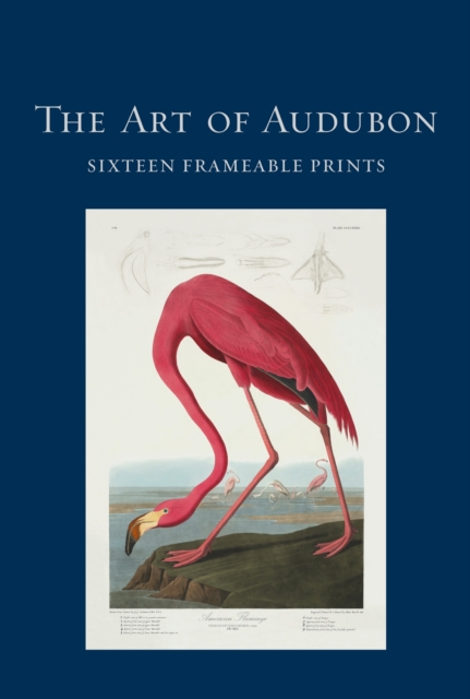 The Art of Audubon : Sixteen Frameable Prints, Pictures or photographs Book