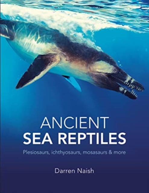 Ancient Sea Reptiles : Plesiosaurs, ichthyosaurs, mosasaurs and more, Hardback Book
