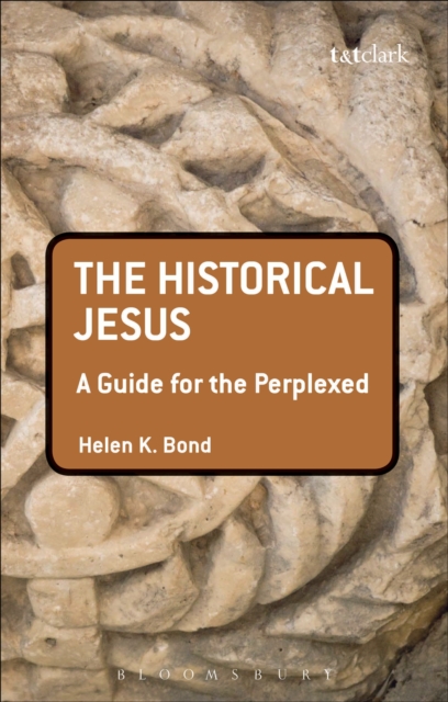 The Historical Jesus: A Guide for the Perplexed, PDF eBook