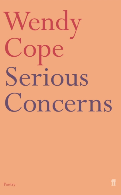 Serious Concerns, Paperback / softback Book
