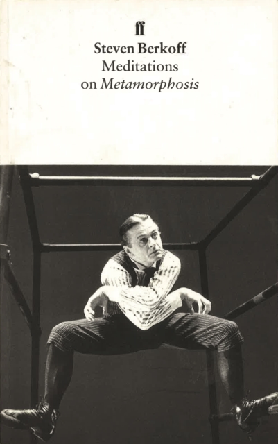 Meditations on Metamorphosis, Paperback / softback Book