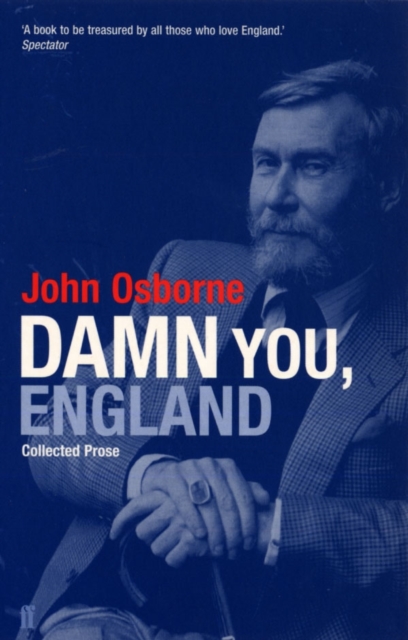 Damn You England : Collected Prose, Paperback / softback Book