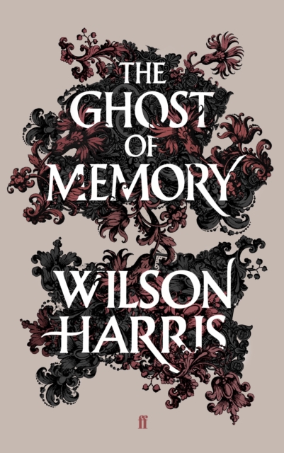 The Ghost of Memory, Hardback Book