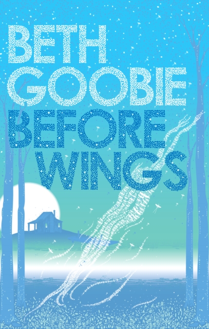 Before Wings, Paperback / softback Book