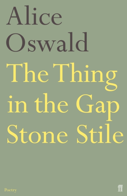 The Thing in the Gap Stone Stile, Paperback / softback Book