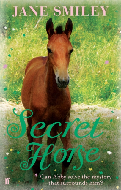 Secret Horse, Paperback / softback Book