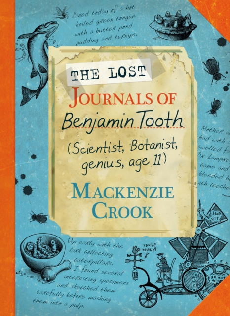 The Lost Journals of Benjamin Tooth, Hardback Book