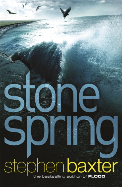 Stone Spring, Paperback / softback Book