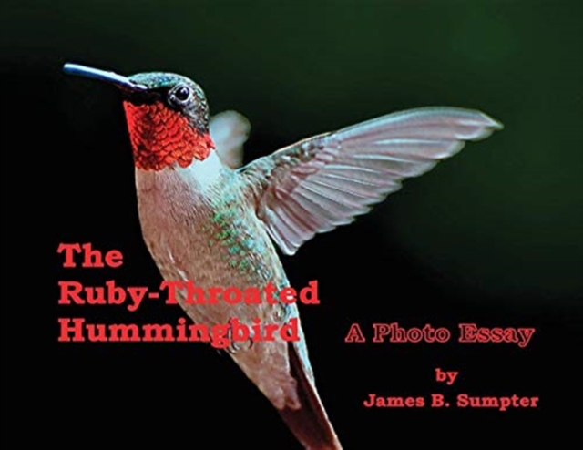 The Ruby-throated Hummingbird : A Photo Essay, Paperback / softback Book