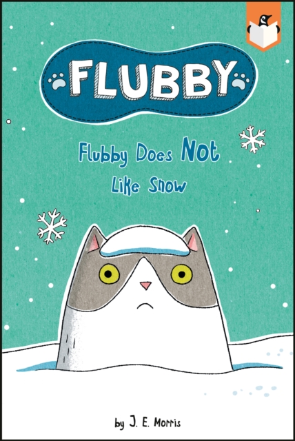Flubby Does Not Like Snow, Paperback / softback Book