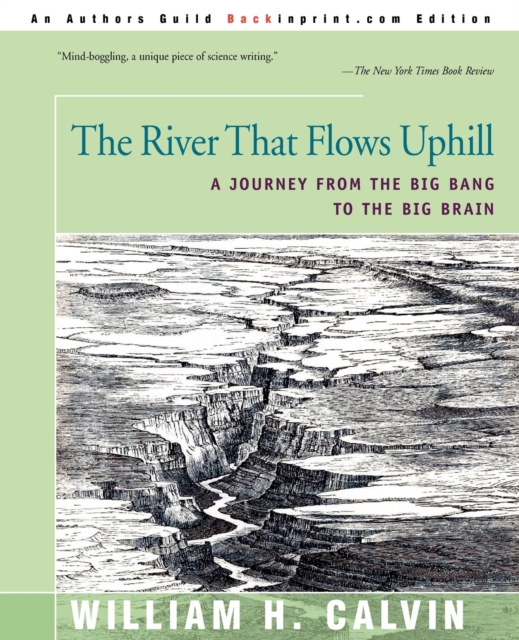 The River That Flows Uphill : A Journey from the Big Bang to the Big Brain, Paperback / softback Book