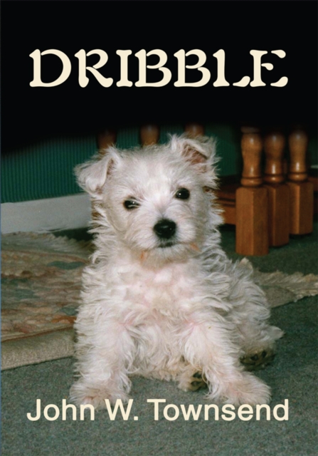 Dribble, EPUB eBook