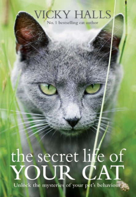 The Secret Life of your Cat : The visual guide to all your cat's behaviour, EPUB eBook