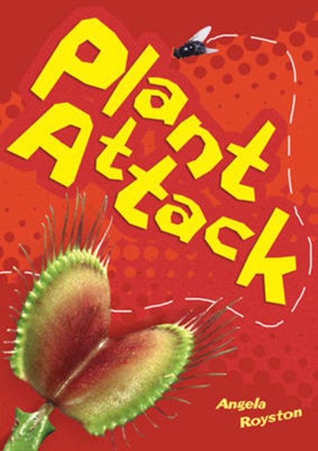 Pocket Reads Year 2 Singles Pack, Paperback / softback Book