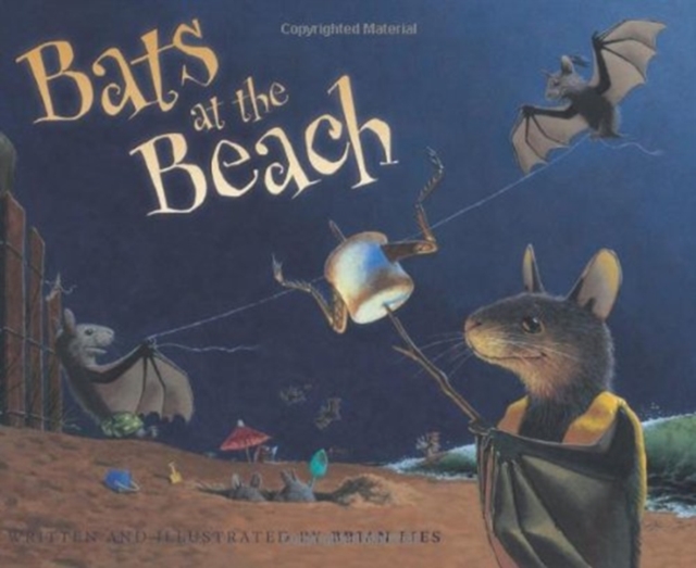 Bats at the Beach, Hardback Book
