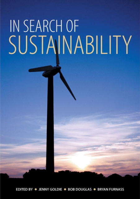In Search of Sustainability, Paperback / softback Book