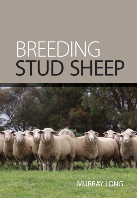 Breeding Stud Sheep, EPUB eBook