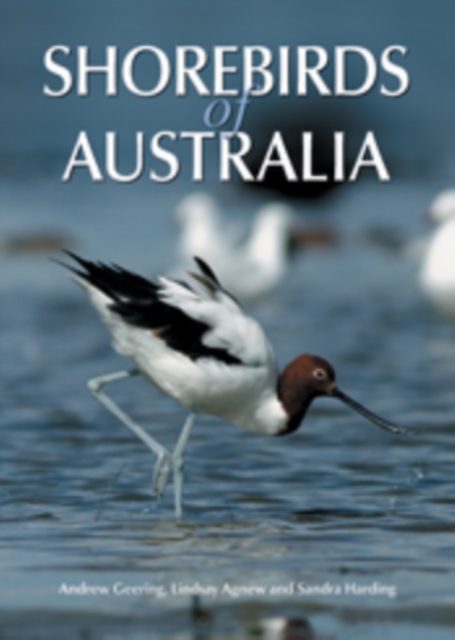 Shorebirds of Australia, EPUB eBook