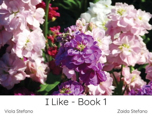 I Like - Book 1, Paperback / softback Book