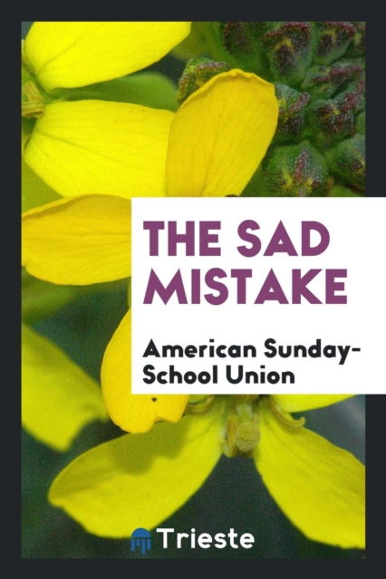 The Sad Mistake, Paperback Book