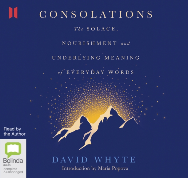 Consolations : The Solace, Nourishment and Underlying Meaning of Everyday Words, CD-Audio Book