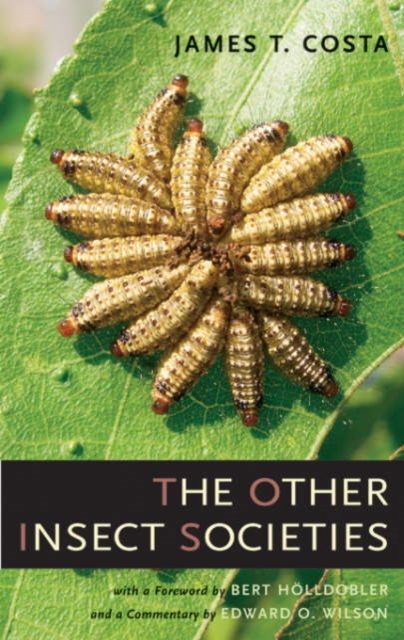 The Other Insect Societies, Hardback Book