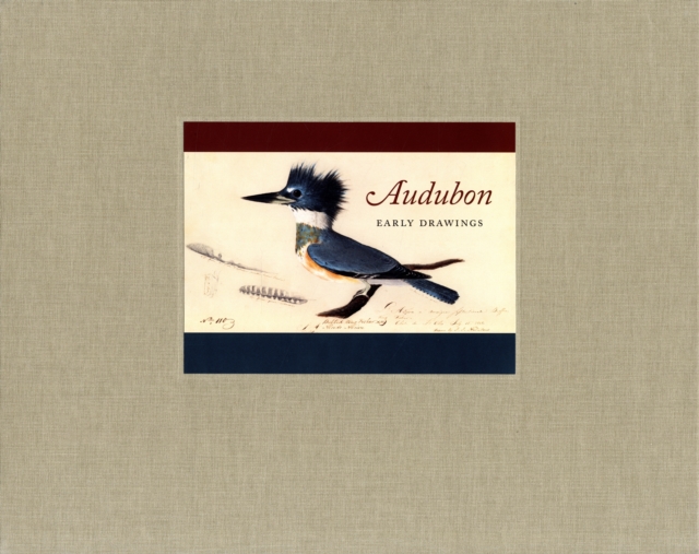 Audubon : Early Drawings, Hardback Book
