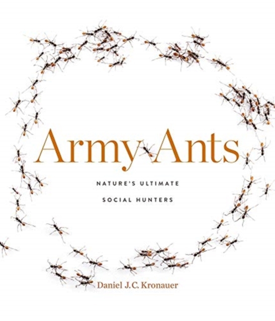 Army Ants : Nature’s Ultimate Social Hunters, Hardback Book