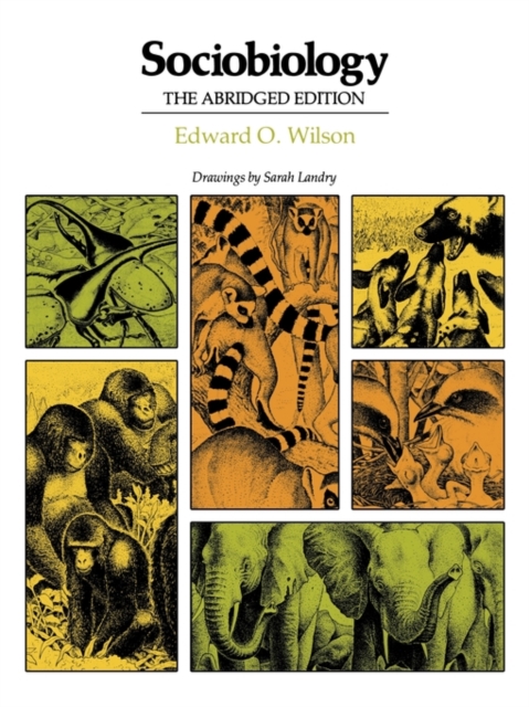 Sociobiology : The Abridged Edition, Paperback / softback Book