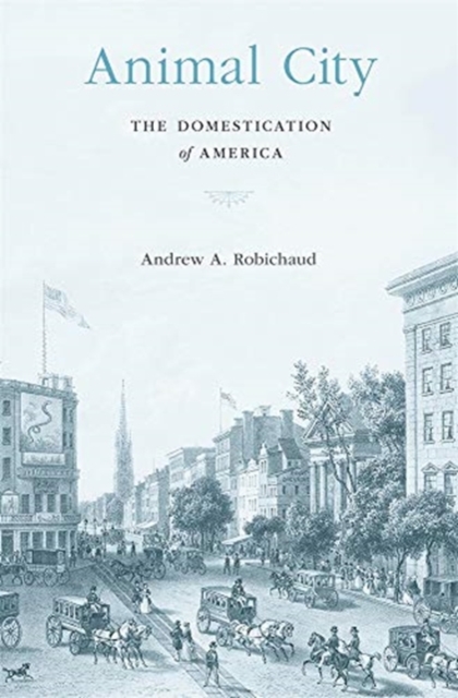 Animal City : The Domestication of America, Hardback Book