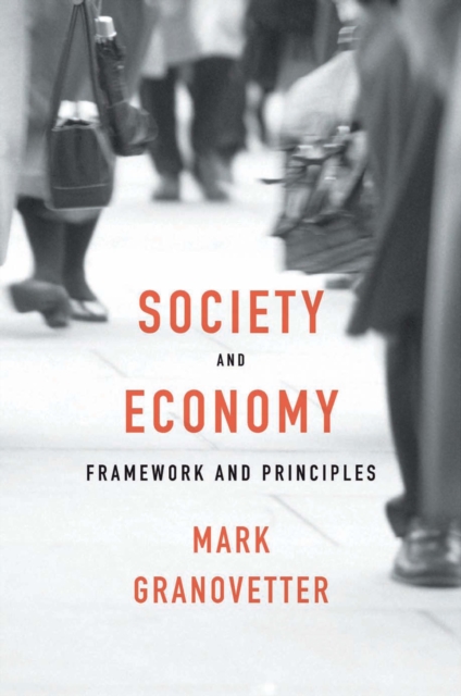 Society and Economy : Framework and Principles, EPUB eBook