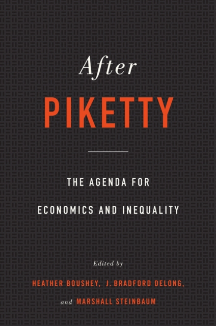 After Piketty : The Agenda for Economics and Inequality, EPUB eBook