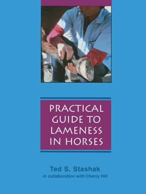Practical Guide to Lameness in Horses, Paperback / softback Book
