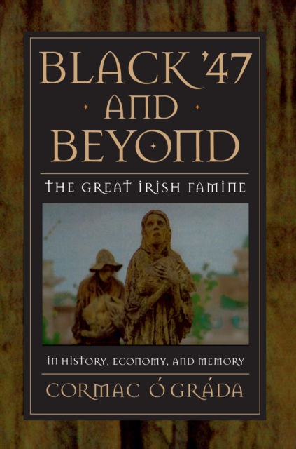 Black '47 and Beyond : The Great Irish Famine in History, Economy, and Memory, Paperback / softback Book